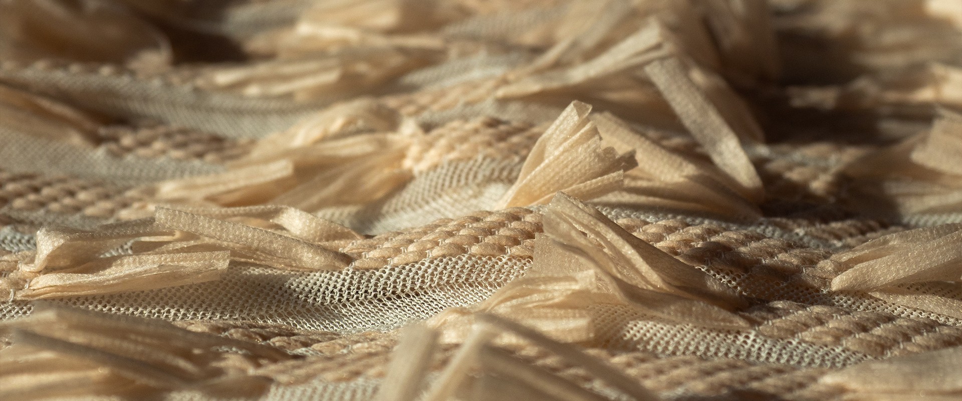 Notre coopérative à chaque étape de votre projet maille